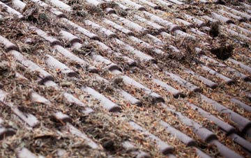 Chadwell roof cleaning companies